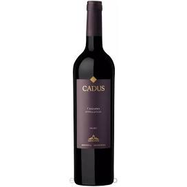 Cadus Chacayes malbec