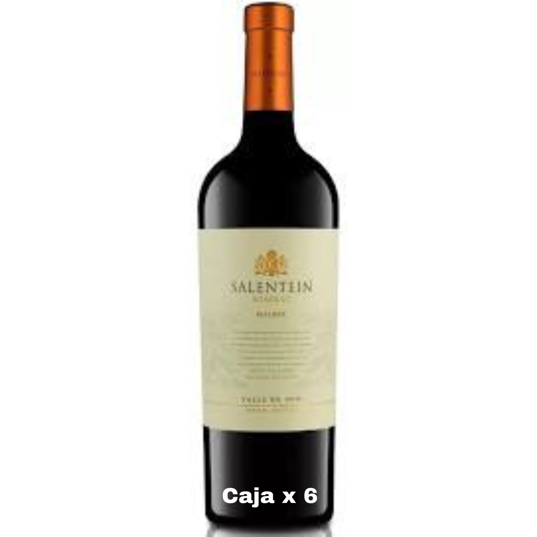 Caja Salentein malbec